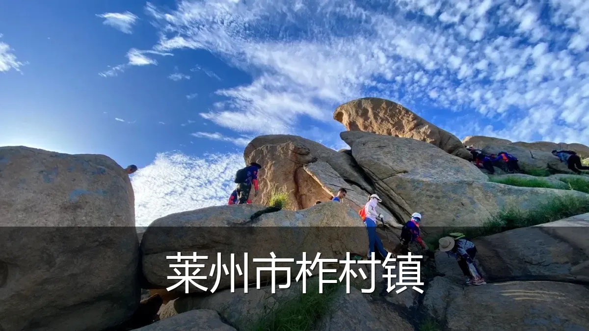 莱州市柞村镇