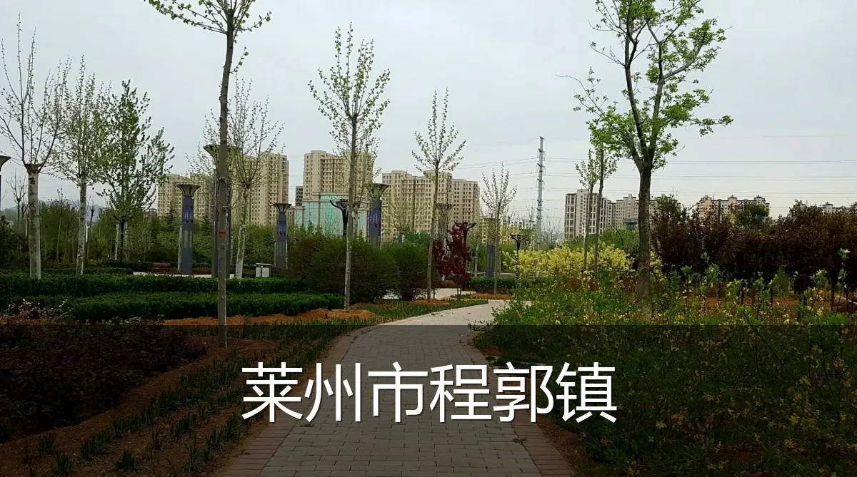 莱州市程郭镇